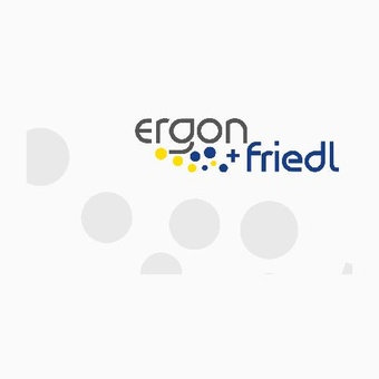 Logo: ergon + friedl steuerberatungs gmbh