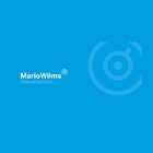 Logo: Mario Wilms Steuerberater